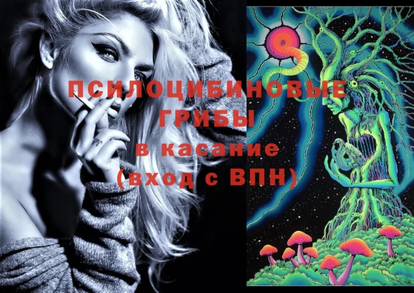 мяу мяу кристалл Переславль-Залесский