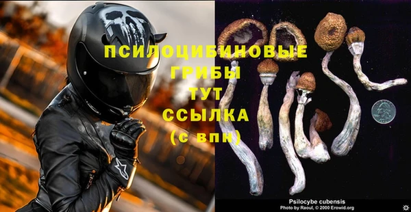 бутират Пестово