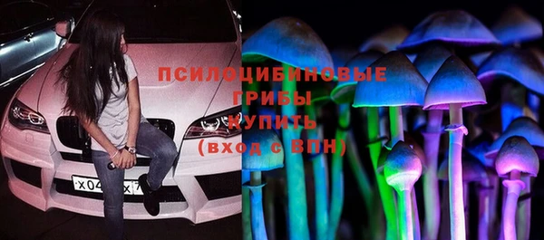 мяу мяу кристалл Переславль-Залесский