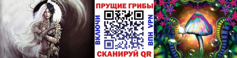 гидра ССЫЛКА  наркота  Волоколамск  Псилоцибиновые грибы GOLDEN TEACHER 